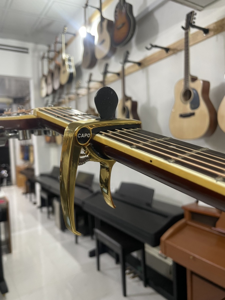 Capo cắm pick