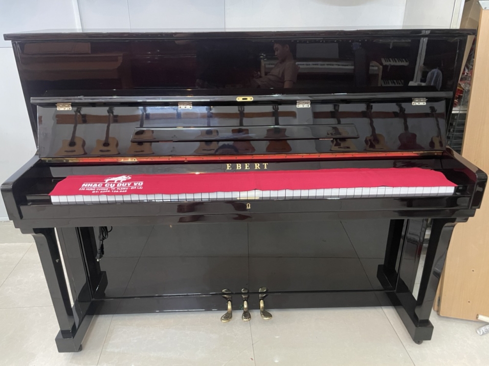 Ebert EB10