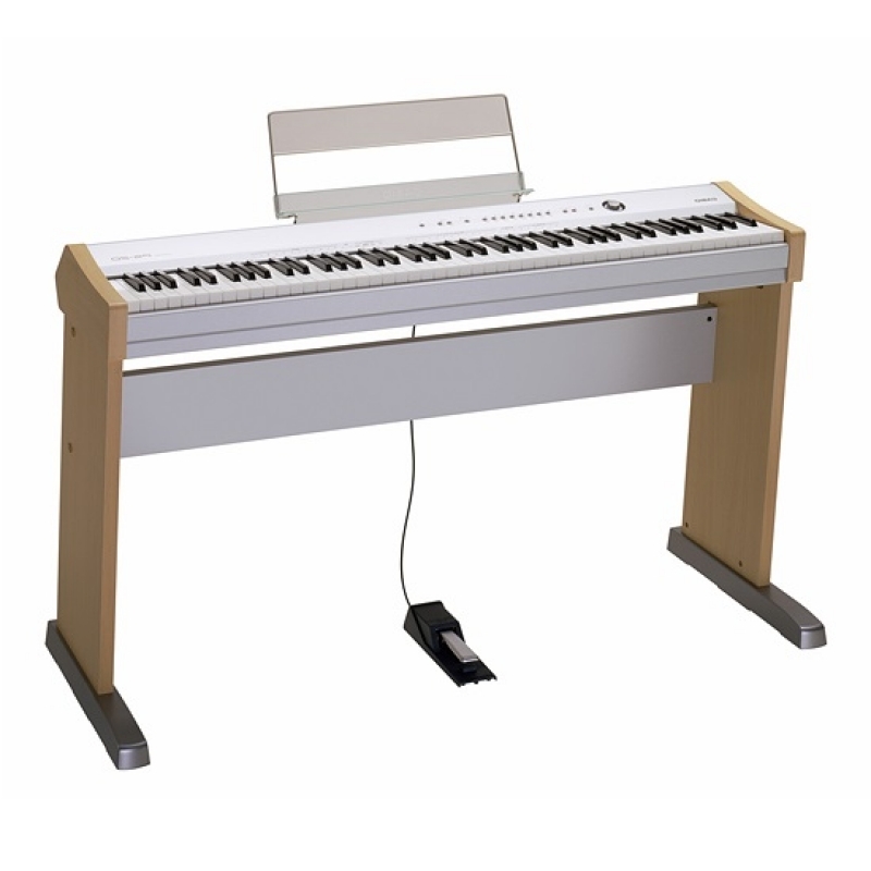 Casio PS 20