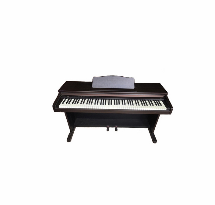 Casio AP 10