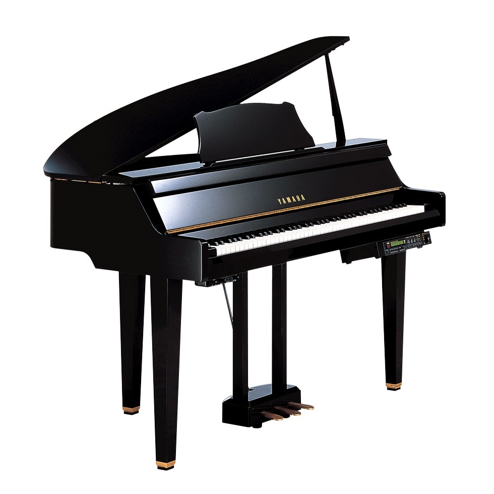 Yamaha DGP-2XG